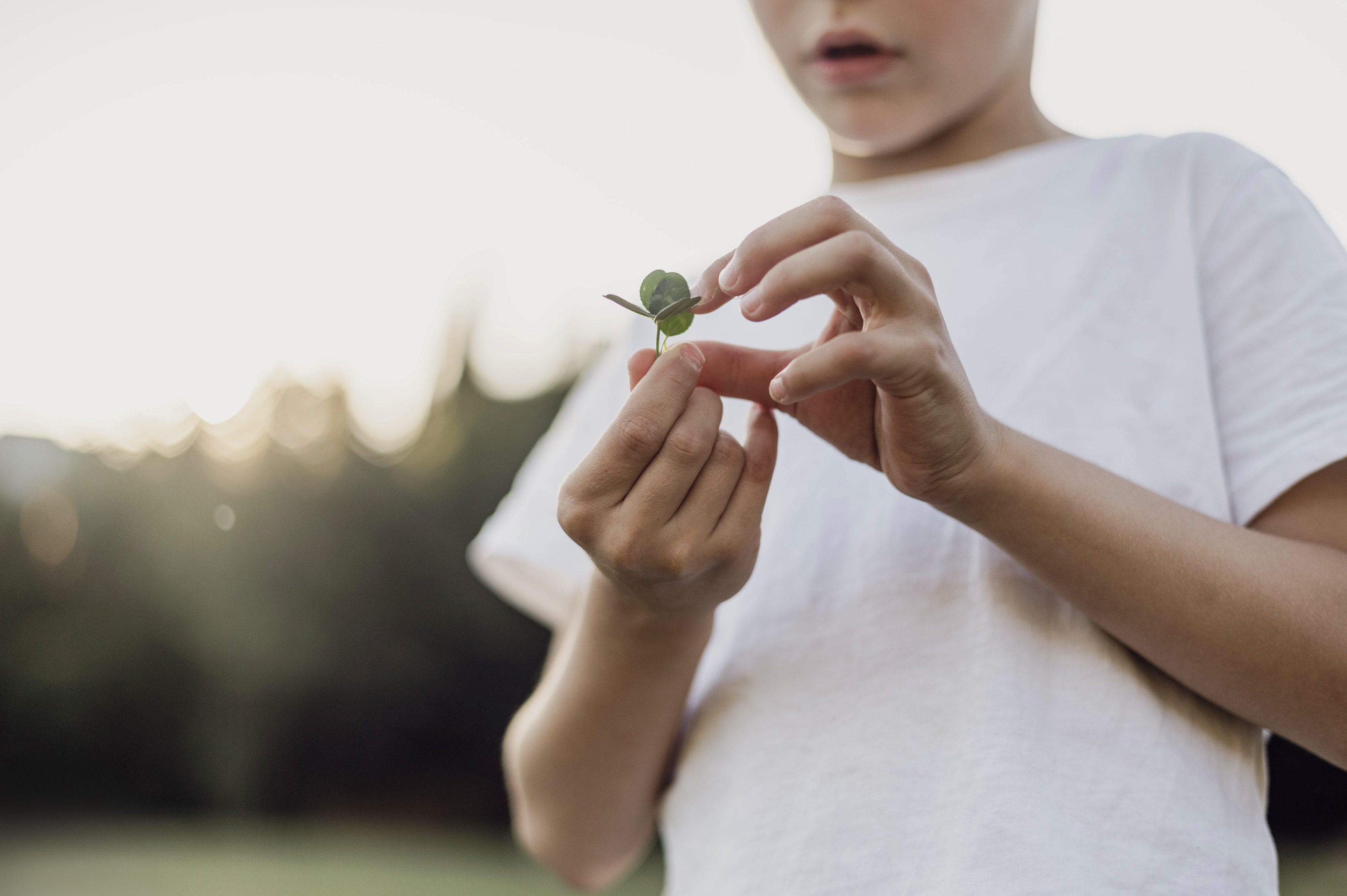 Nen examinant una petita planta amb cura.