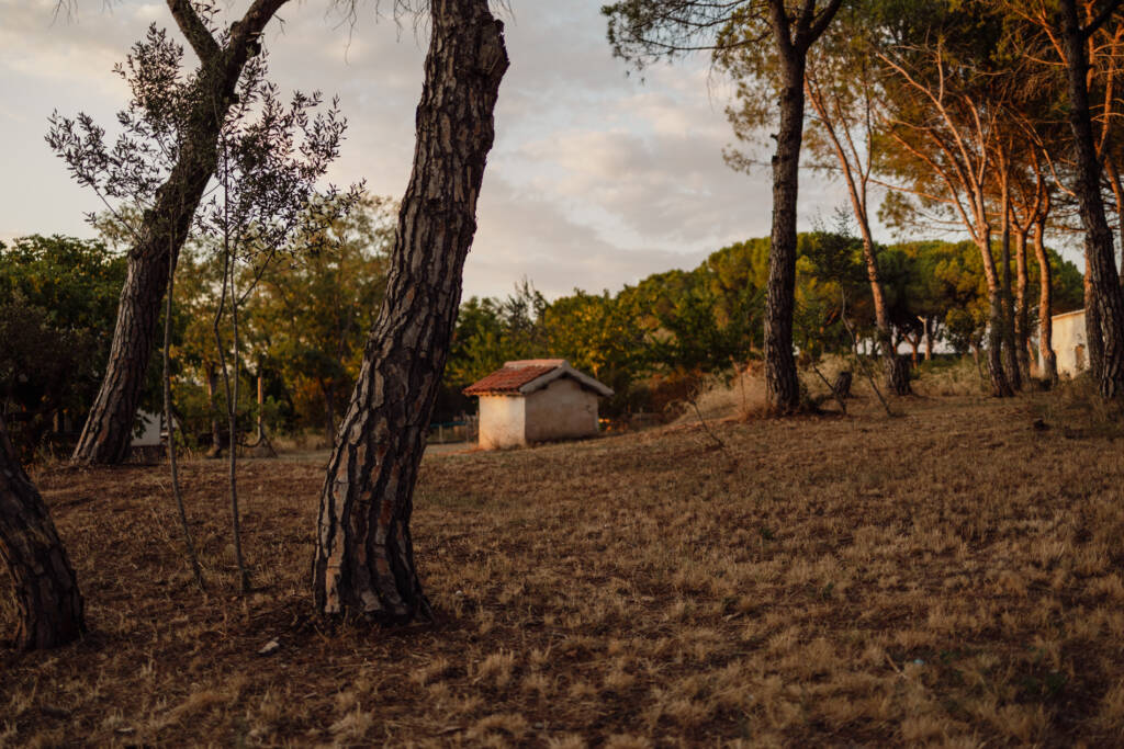 Sessions de fotos al Guix